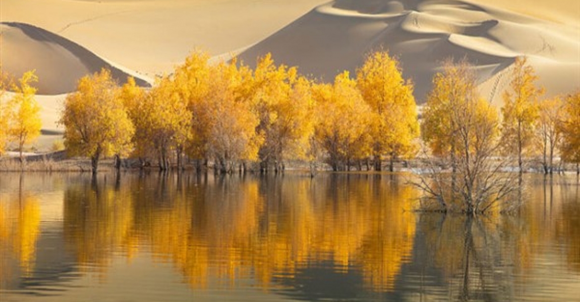 Xinjiang'da 3 bin kilometrekare çölleşen toprak ıslah edilecek