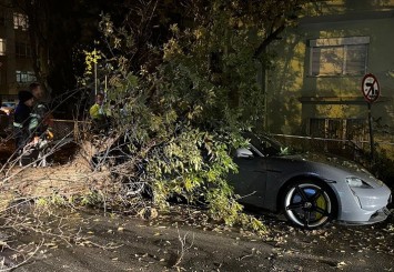 Ankara'da rüzgar nedeniyle üzerine ağaç devrilen otomobil hasar gördü