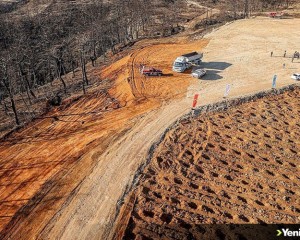 Antalya'daki orman yangınının izlerini silecek ilk fidan yarın toprakla buluşacak