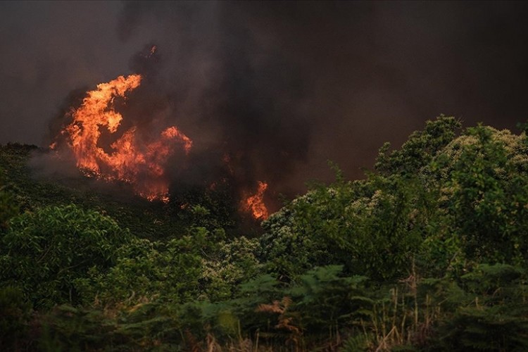 İspanya'daki orman yangını 5. gününde devam ediyor