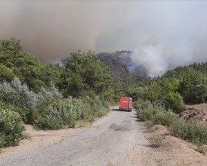 Manisa'da yeniden başlayan orman yangını yerleşim yerlerine ulaştı