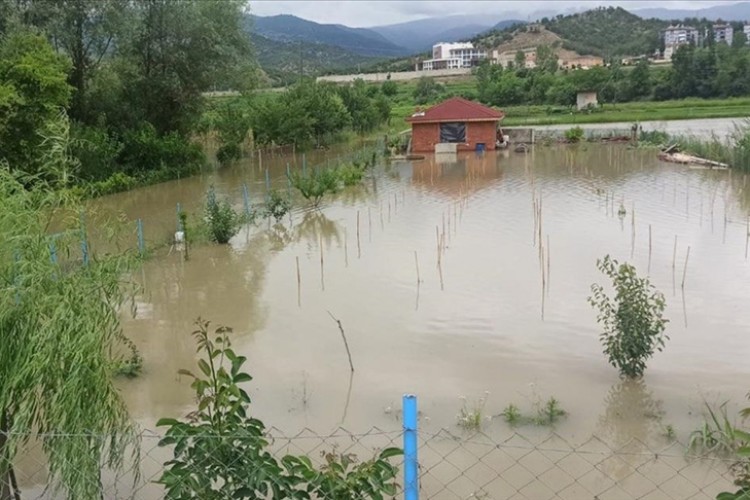 Sinop'ta su altında kalan tarım arazileri zarar gördü