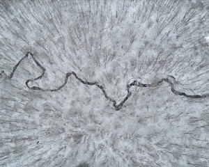 Kırklareli'nde karla kaplanan Istranca ormanları havadan görüntülendi
