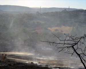Manisa'da orman yangını yerleşim yerlerine ulaşmadan söndürüldü