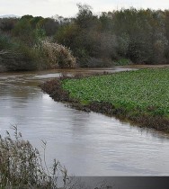 Kuraklıktan etkilenen Gediz Nehri'nin debisi yağışlarla yükseldi