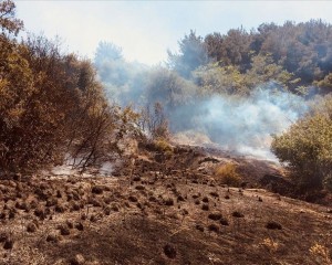 Osmaniye'de çıkan orman yangını kontrol altına alındı