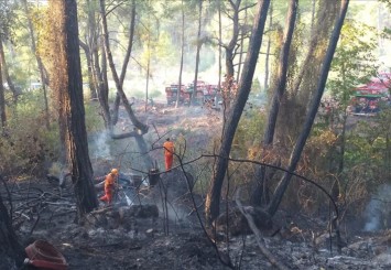 Antalya'da çıkan orman yangını havadan ve karadan müdahaleyle söndürüldü