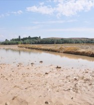 Nevşehir'deki selin ardından hasar tespit çalışmaları başladı
