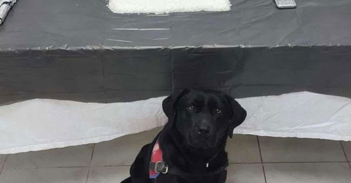 Narkotik köpeği 'Tumba' evin çatısında bir kilo metamfetamin buldu