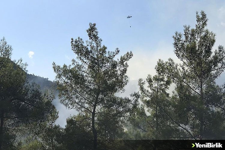 Amanos Dağları'nda çıkan orman yangınına müdahale ediliyor