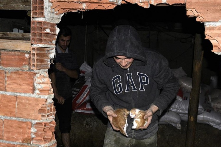 Sinop'ta su basan ahırdaki hayvanlar duvar kırılarak kurtarıldı
