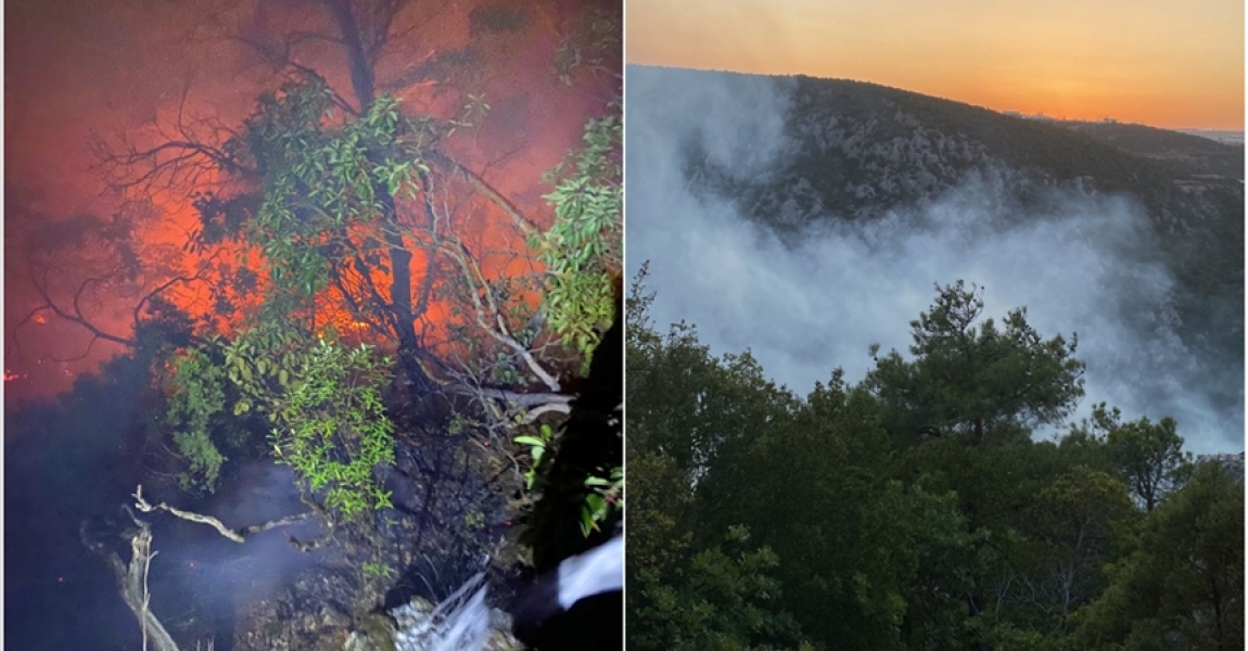 Bilecik'te yıldırım isabet etmesi sonucu çıkan orman yangınına müdahale ediliyor