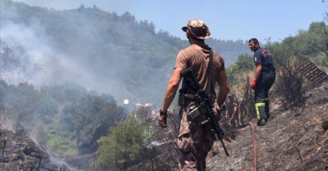 Kocaeli'de çıkan orman yangınında 20 dönüm alan zarar gördü