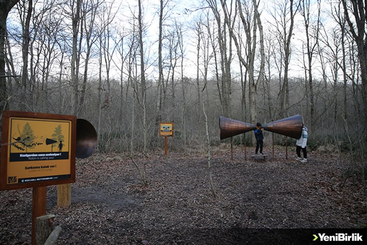Ormanya'ya gelen ziyaretçiler, doğanın sesini akustik ortamda dinliyor