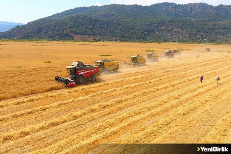 Küresel tarımsal emtia fiyatlarının bu yıl da yüksek seyretmesi bekleniyor