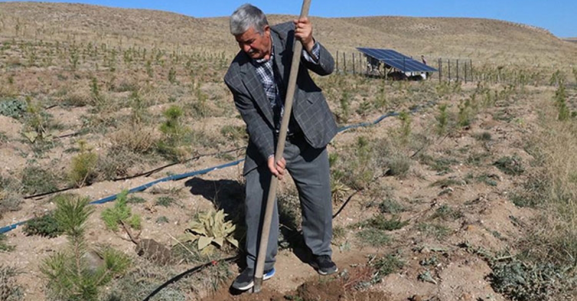 Yozgat'ta doğa gönüllüsü 23 yılda 25 hatıra ormanı oluşturdu