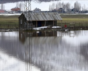 Muş Ovası'nda bazı bölgeler eriyen kar ve sağanak nedeniyle suyla kaplandı