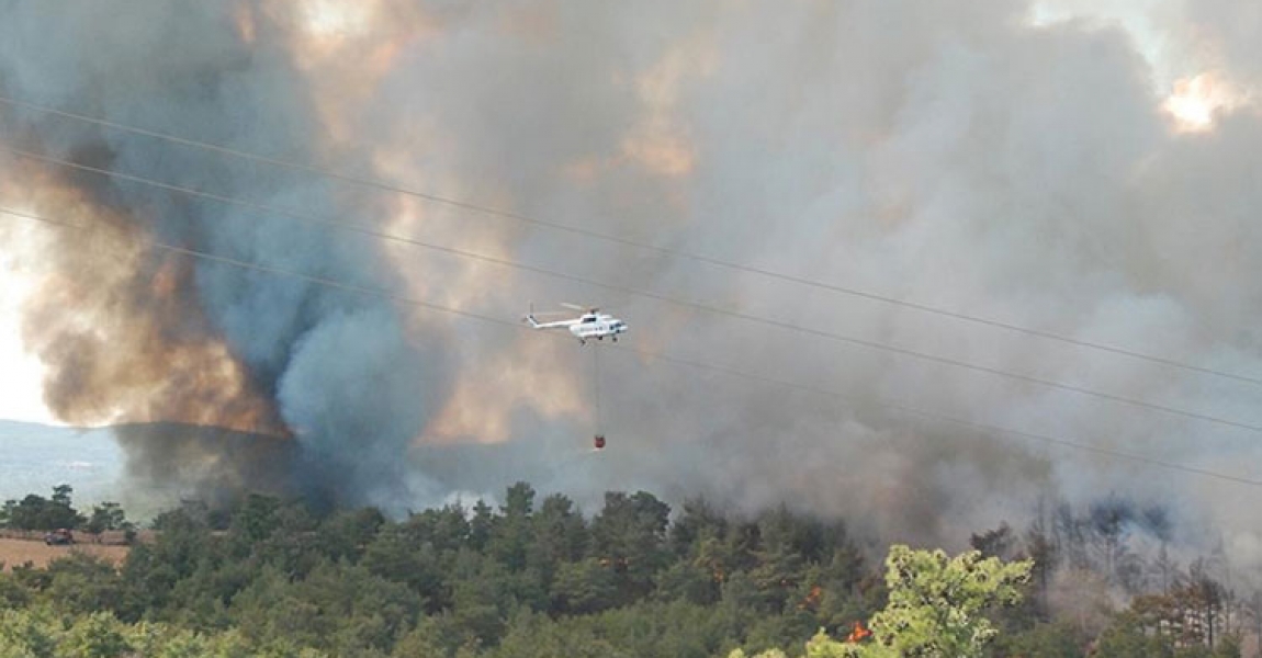 Çanakkale'de çıkan orman yangınına müdahale ediliyor
