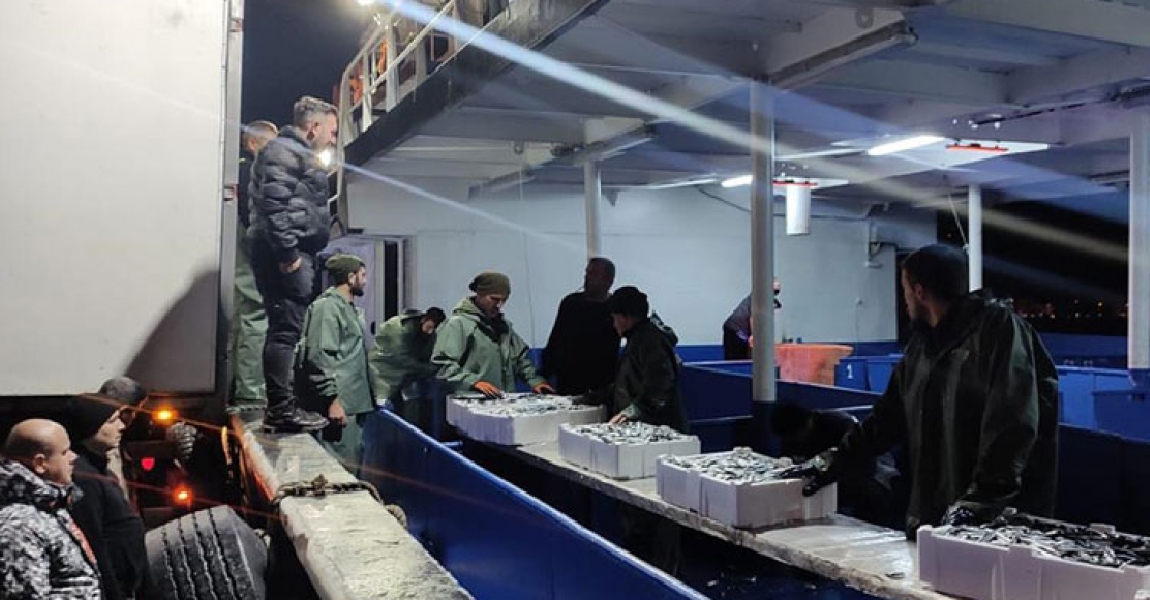 Kastamonu'da balıkçılar limana kasalar dolusu hamsiyle döndü