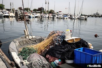 Küçük balıkların avlanması Marmara'daki ekosistemi tehdit ediyor
