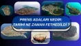 Prens Adaları Nedir, Tarihi, Neden Prens Adaları Deniyor, Ne Zaman Fethedildi, Nasıl Gidilir?