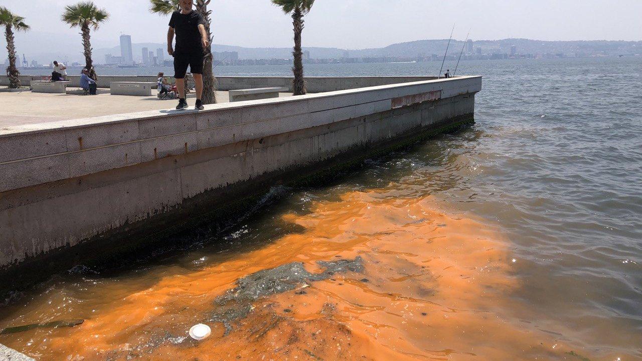 İzmir Körfezi'nde korkutan görüntü: "Müsilaja sebep olabilir"