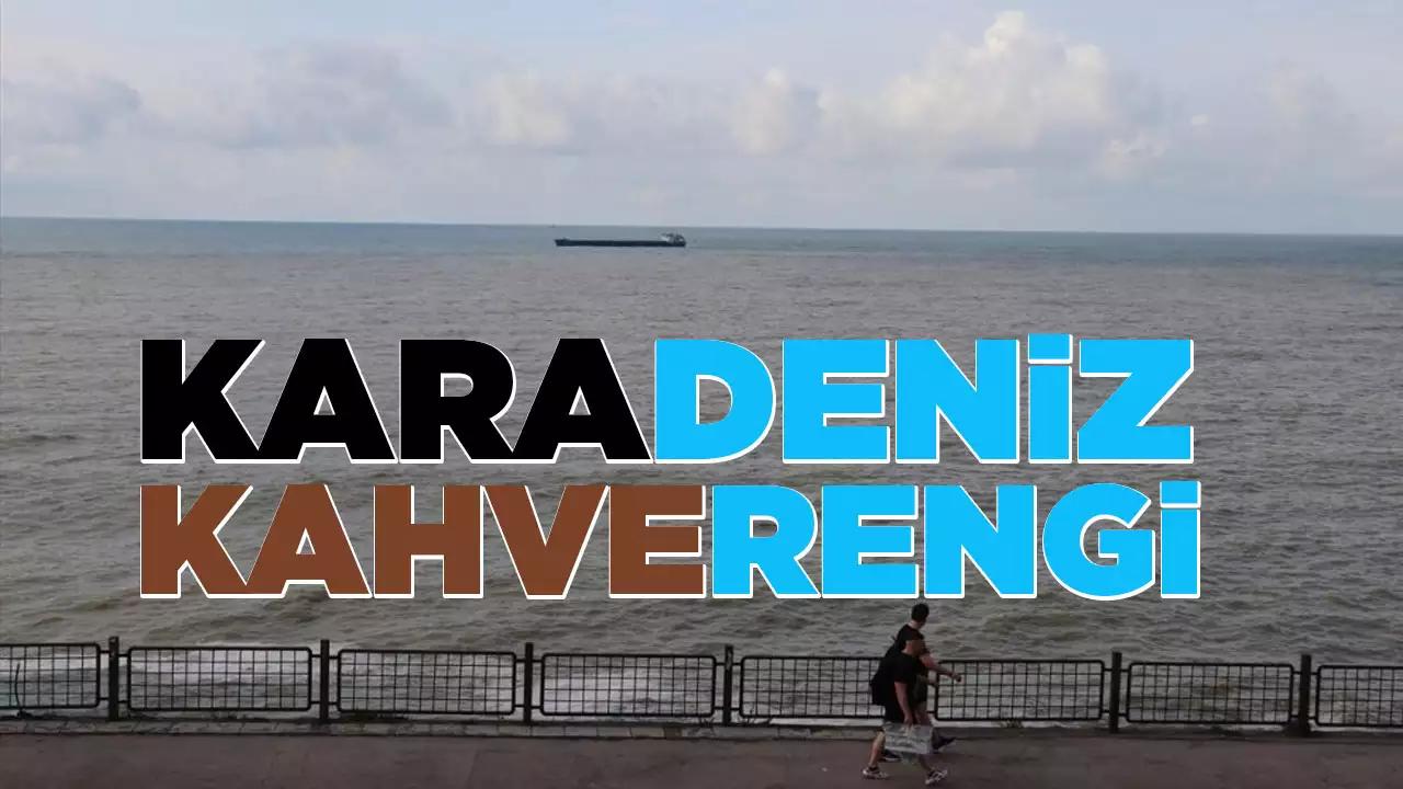 Aşırı sağanak yağışın ardından Karadeniz'in rengi değişti