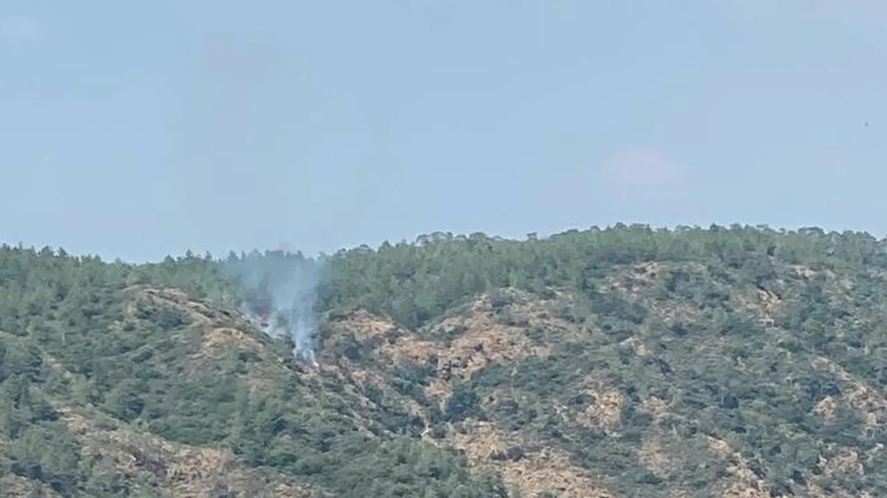 Marmaris'te orman yangını