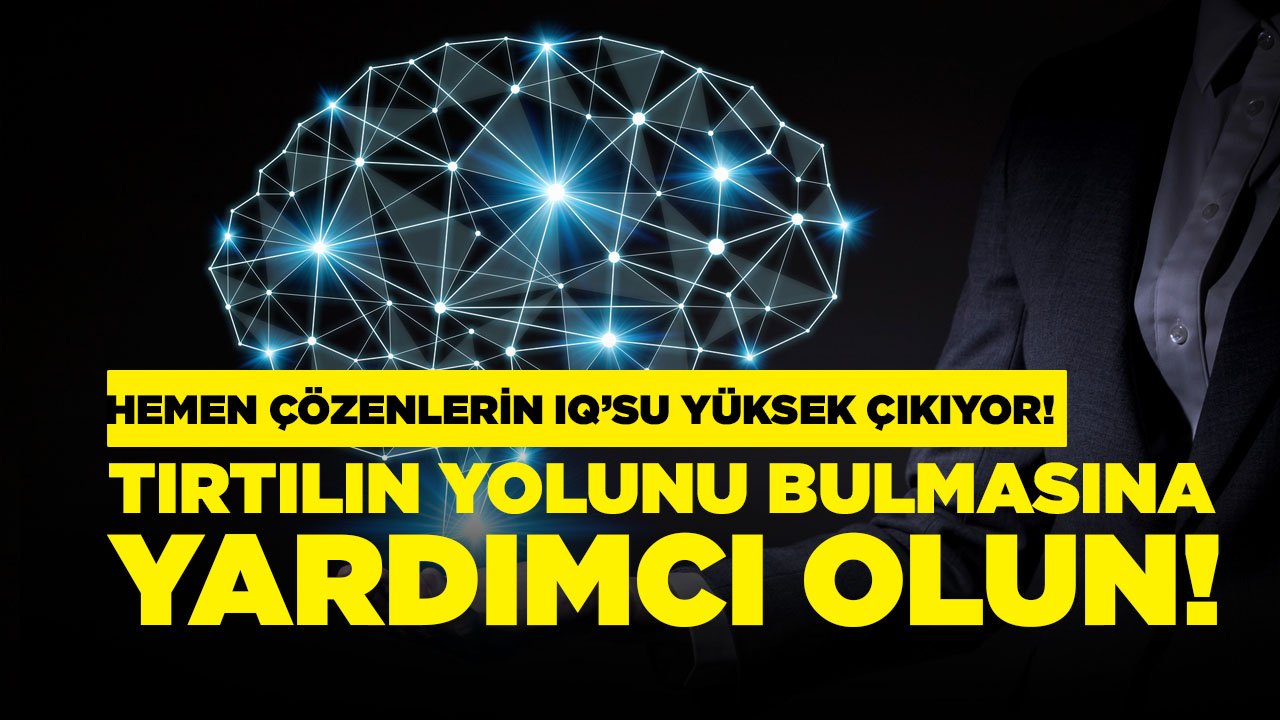 Tırtılın labirentte yolunu 20 saniyede bulmasına yardım edebilir misin?
