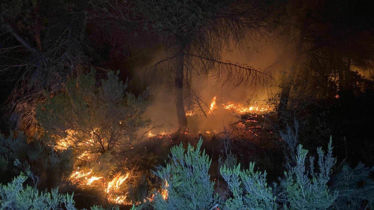 İstanbul'da orman yangını: Müdahale sürüyor