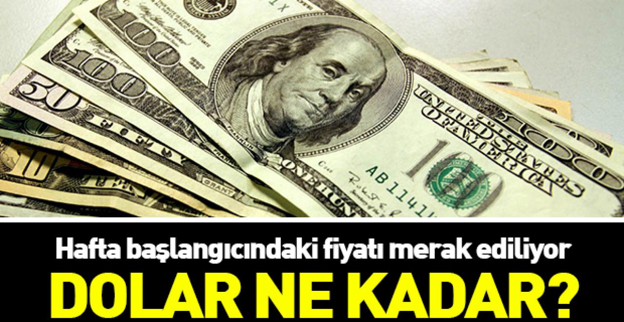 Dolar güne ve haftaya nasıl başlangıç yaptı -  27 Kasım alış ve satış fiyatları