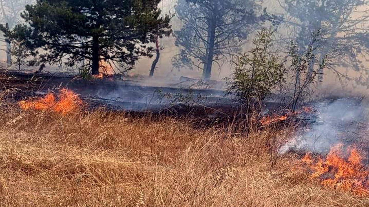 Edirne'de orman yangını!
