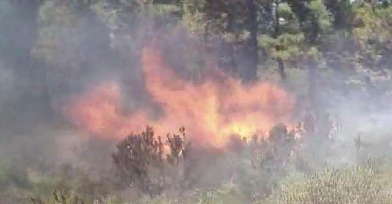 İstanbul'da orman yangını! Ekipler müdahale ediyor...