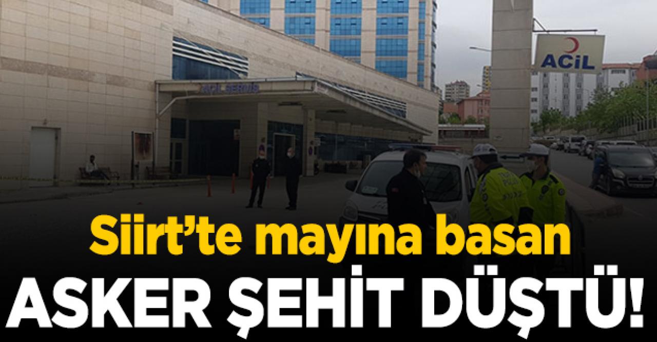 Siirt'te mayına basan asker şehit oldu! İsmi ve memleketi belli oldu mu?