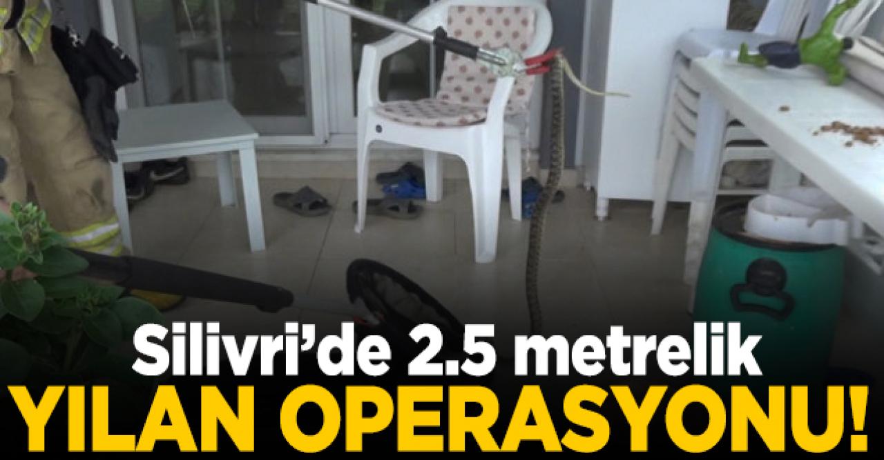 Silivri'de 2.5 metrelik yılan çıkarıldı