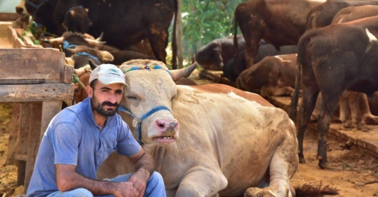 Kartal'da dev kurban pazarı
