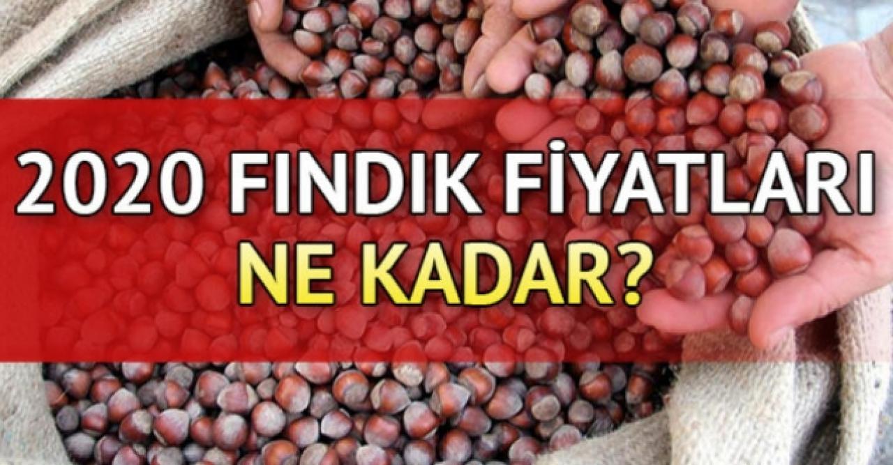 28 Temmuz Salı fındık kaç lira? | Son dakika fındık fiyatları