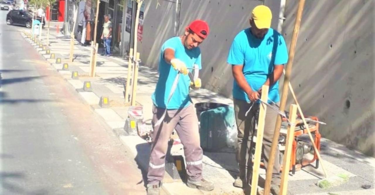 Çatalca rengârenk çiçek ve ağaçlarla donatılıyor