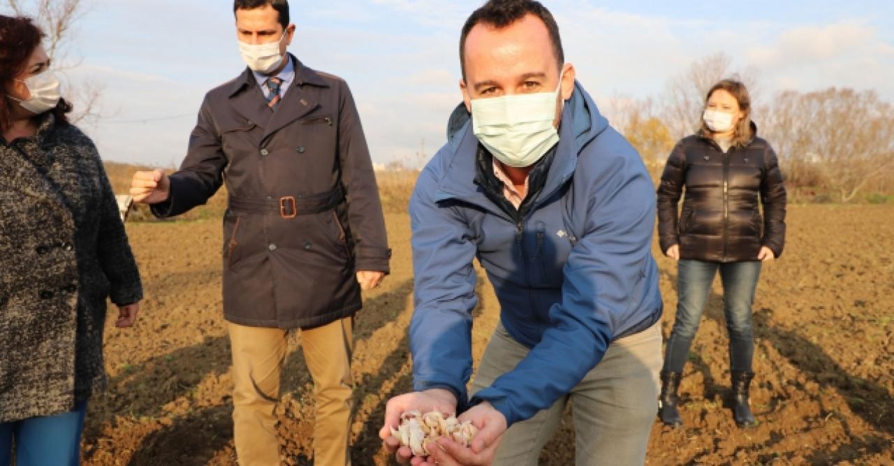 Tarım seferberliği devam ediyor