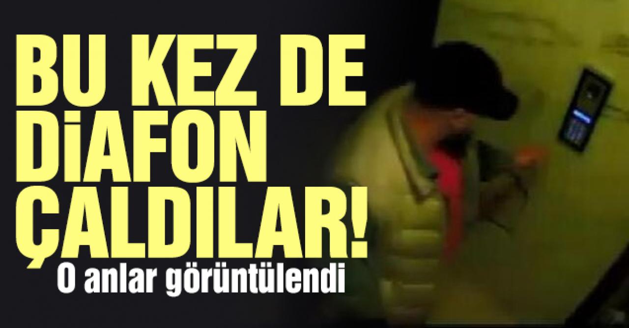 Eyüpsultan'da diafon hırsızlığı