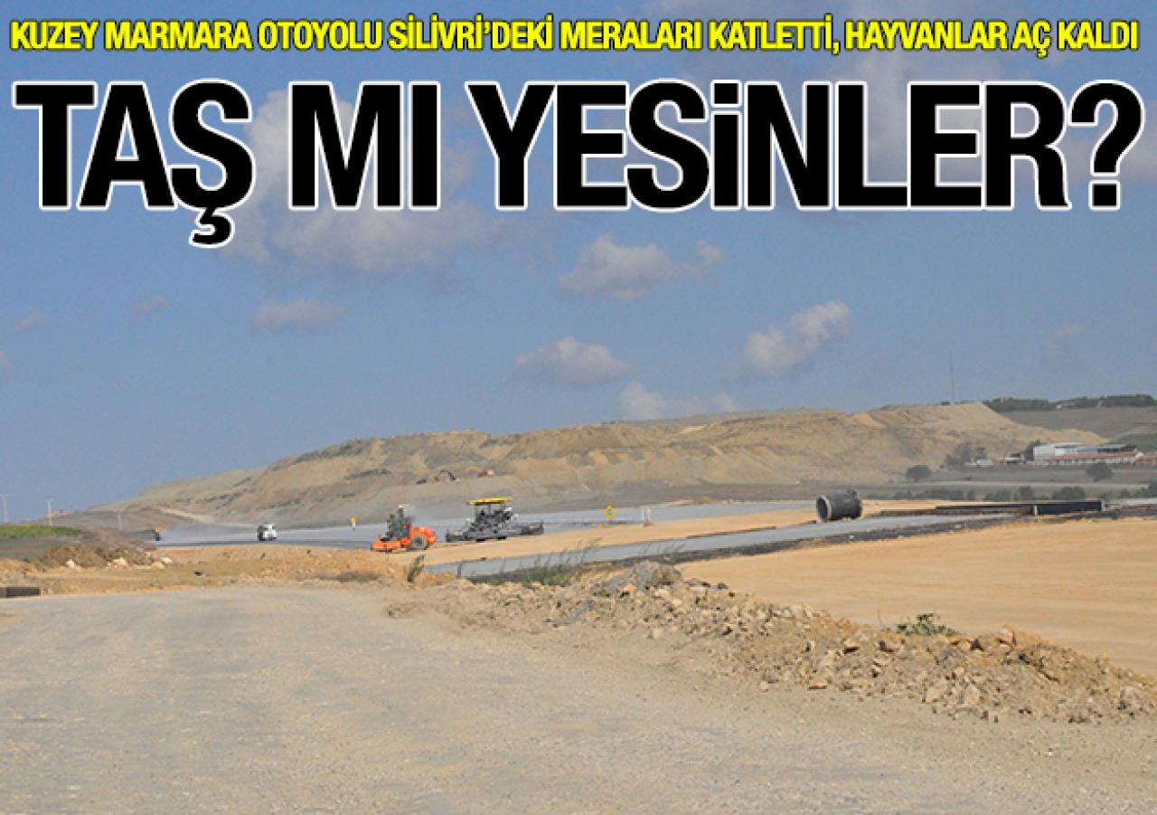 Kuzey Marmara Otoyolu Silivri'deki meraları katletti, hayvanlar aç kaldı! Taş mı yesinler?