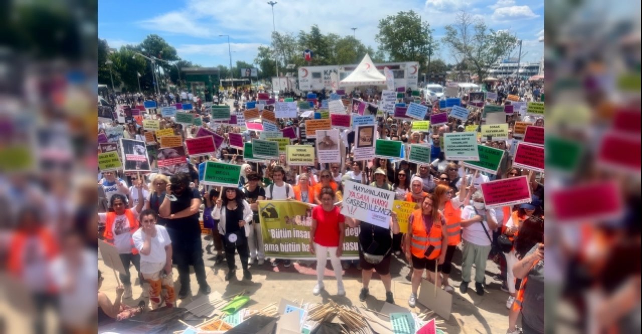 Tüm insanları hapse atsınlar