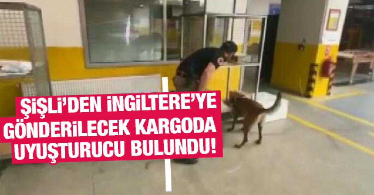 Şişli'den İngiltere'ye gönderilecek kargoda uyuşturucu bulundu