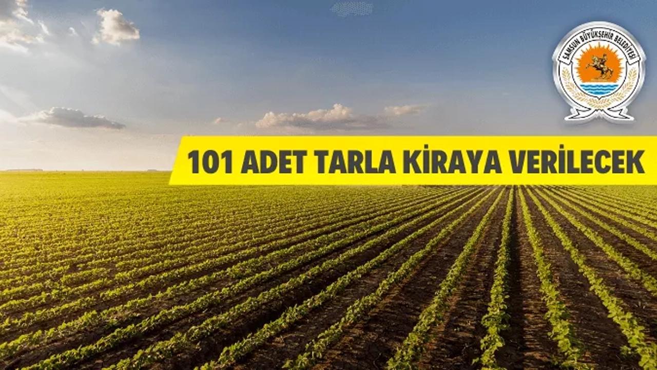 101 adet tarla kiraya verilecek