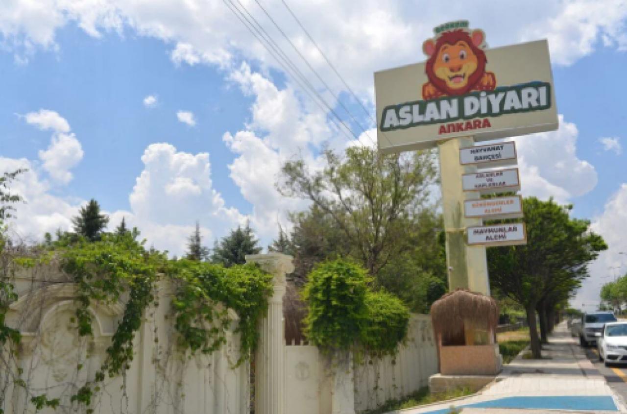 Mahalle arasındaki hayvanat bahçesi yıkıldı