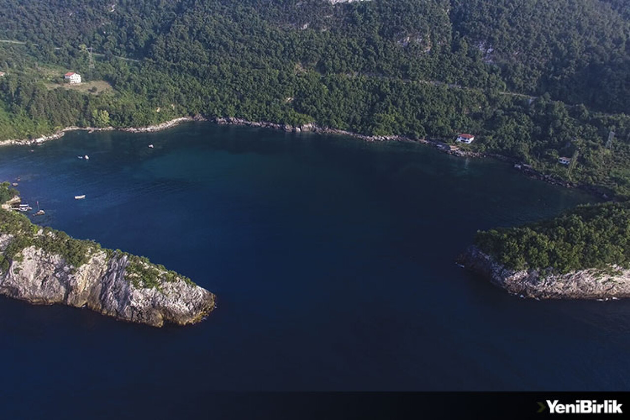 "Çılgın Karadeniz'in Uysal Sığınakları" Ziyaretçilerini Bekliyor