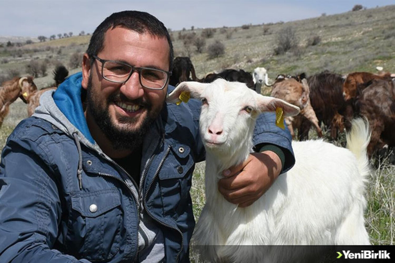 İnşaat şirketini kapatıp kurduğu keçi çiftliğinde süt talebine yetişemiyor