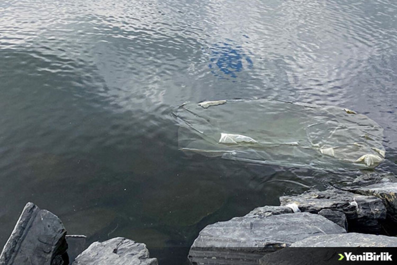 Küçükçekmece Gölü'ndeki kirliliğe karşı proje başlatıldı