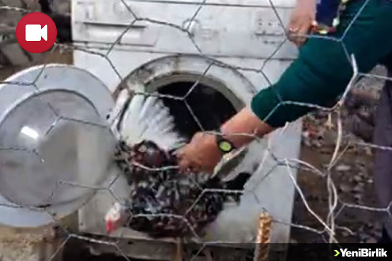 Çamaşır Makinesinden Kümes