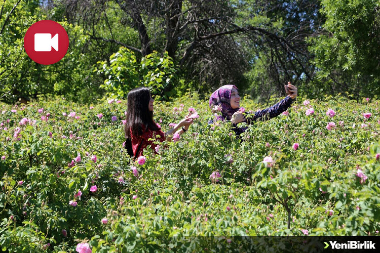 Gül-i Gülşen Turizmi Giderek Artıyor